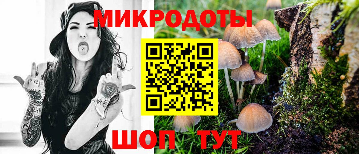 Галлюциногенные грибы Psilocybe Крымск