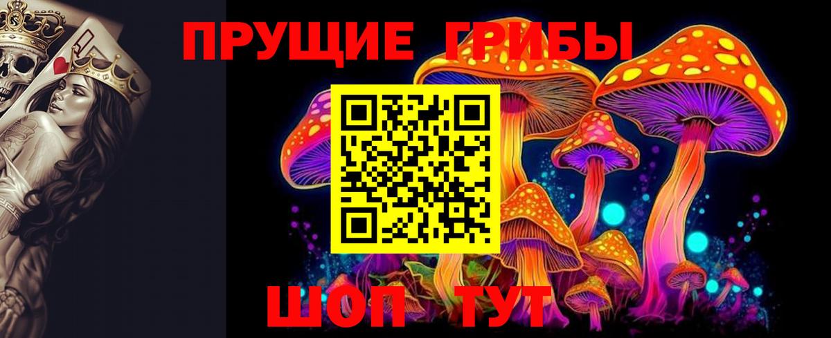 Псилоцибиновые грибы Psilocybine cubensis  Псилоцибиновые грибы мухоморы  Крымск  Вход с VPN 