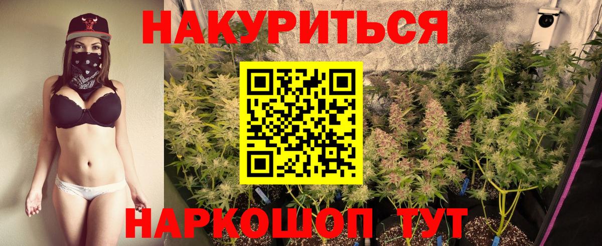 Бошки марихуана ГИДРОПОН  Шишки марихуана Bruce Banner  Вход с VPN  Крымск 